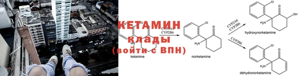 бошки Дмитров