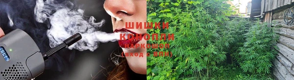jwh Богородицк