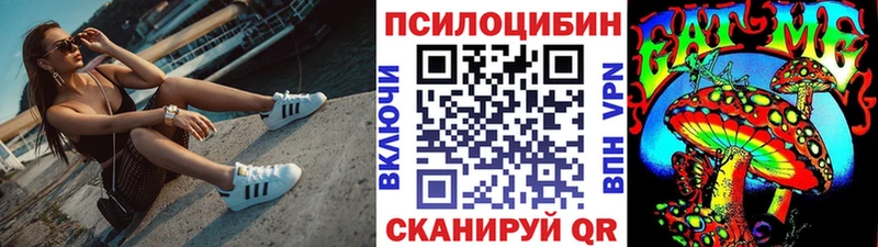 блэк спрут зеркало  Шилка  Галлюциногенные грибы Cubensis  продажа наркотиков 